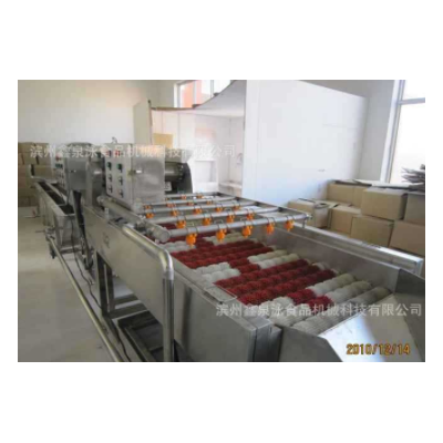 供應(yīng)不銹鋼紅棗清洗機 紅棗清洗生產(chǎn)線 廠價直銷紅棗選果機