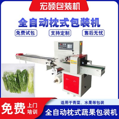 宏碩直銷(xiāo)枕式蔬菜包裝機(jī) 全自動(dòng)水果果蔬包裝機(jī) 三伺服裝袋機(jī)設(shè)備