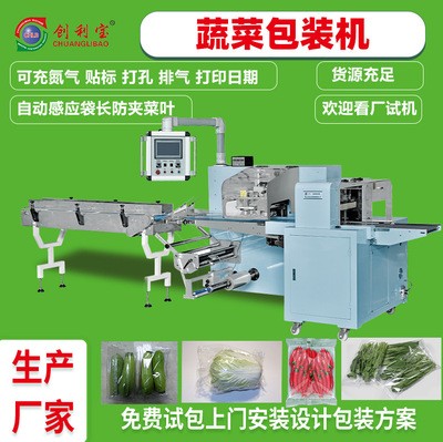 蔬菜包裝機(jī)往復(fù)式枕式全自動真空包裝機(jī)肉類果蔬食品包裝機(jī)械設(shè)備