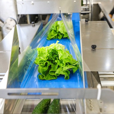 社區超市全自動蔬菜水果包裝機托盤水果包裝設備枕式食品包裝機械