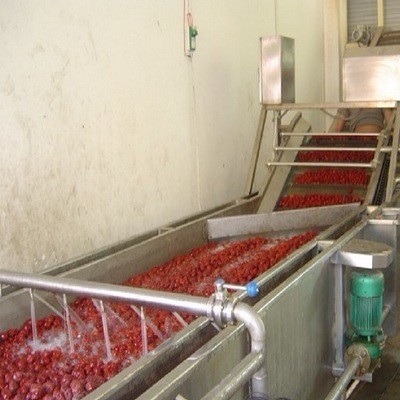 香菇菌類清洗機 凈菜蔬菜清洗加工生產(chǎn)線廠家 雜糧清洗設(shè)備生產(chǎn)線