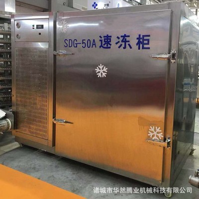 廠家供應(yīng) 壓縮機式速凍機 生產(chǎn)餃子液氮速凍柜 水餃小型急凍設(shè)備