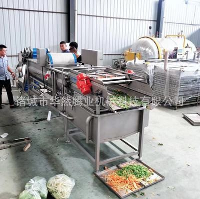現貨熱銷洗菜機 商用渦流清洗機 蔬菜水果清洗機 支持定制 氣泡