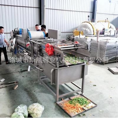現(xiàn)貨熱銷洗菜機 商用渦流清洗機 蔬菜水果清洗機 支持定制 氣泡