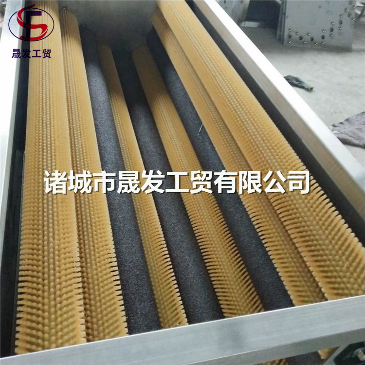 土豆清洗案例003.jpg