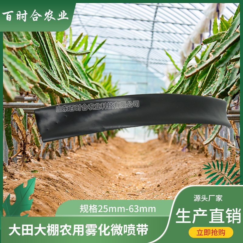 大田大棚農用噴灌霧化PE微噴帶山東百時合農業科技有限公司