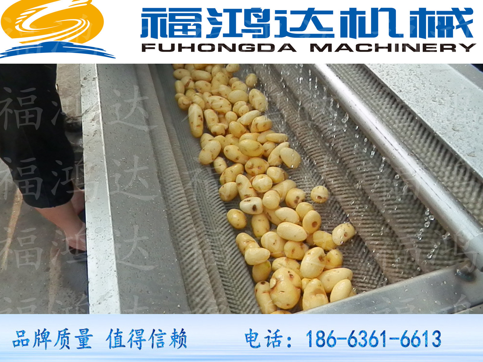 蔬菜毛刷清洗機