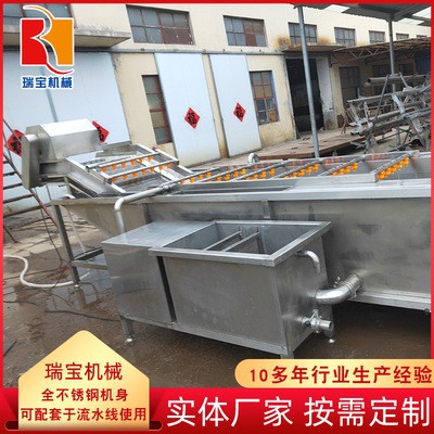 軟包裝袋清洗去污設(shè)備 氣泡式竹筍翻浪清洗機(jī) 毛豆豆角專(zhuān)用清洗機(jī)