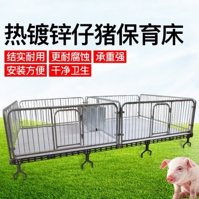廠家批量生產(chǎn)小豬用鑄鐵保育床塑料漏糞板雙面食槽國(guó)標(biāo)鍍鋅管促銷(xiāo)