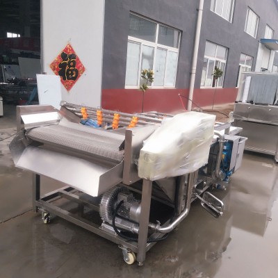 江蘇龍蝦清洗機 廠家供應小龍蝦氣泡超聲波清洗機流水線