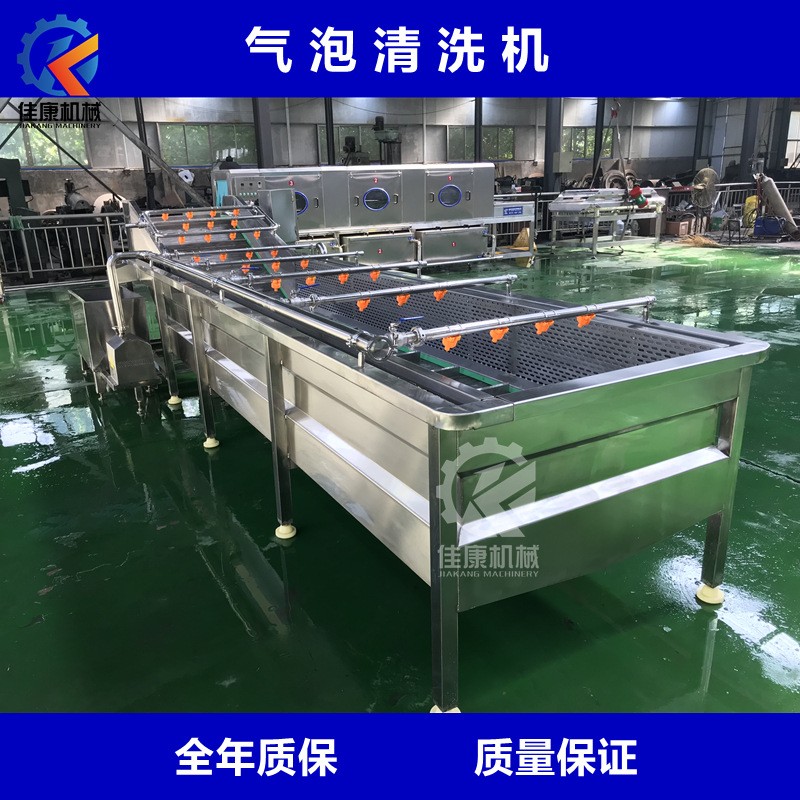 商用高壓噴淋式氣泡清洗機 多功能果蔬清洗機 枸杞連續式清洗機