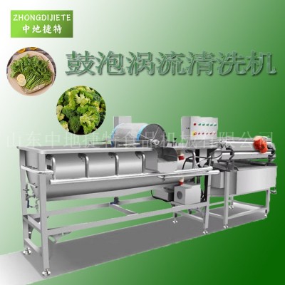 商用大型廚房蕨菜清洗機 凈菜處理設備 鮮辣椒水果蔬菜渦流清洗機