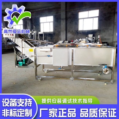 全自動噴淋式瓜果氣泡清洗機 辣椒清氣泡清洗機 不銹鋼果蔬清洗機