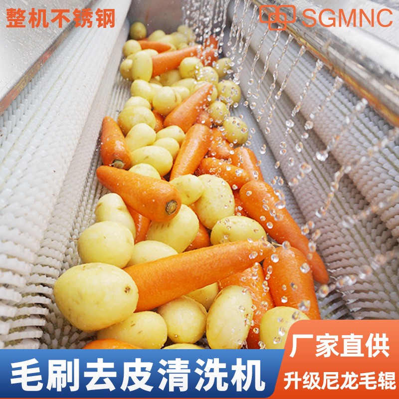 毛輥清洗去皮機(jī)大型土豆蘿卜紅薯生姜芋頭清洗機(jī)天麻馬蹄生蠔商用