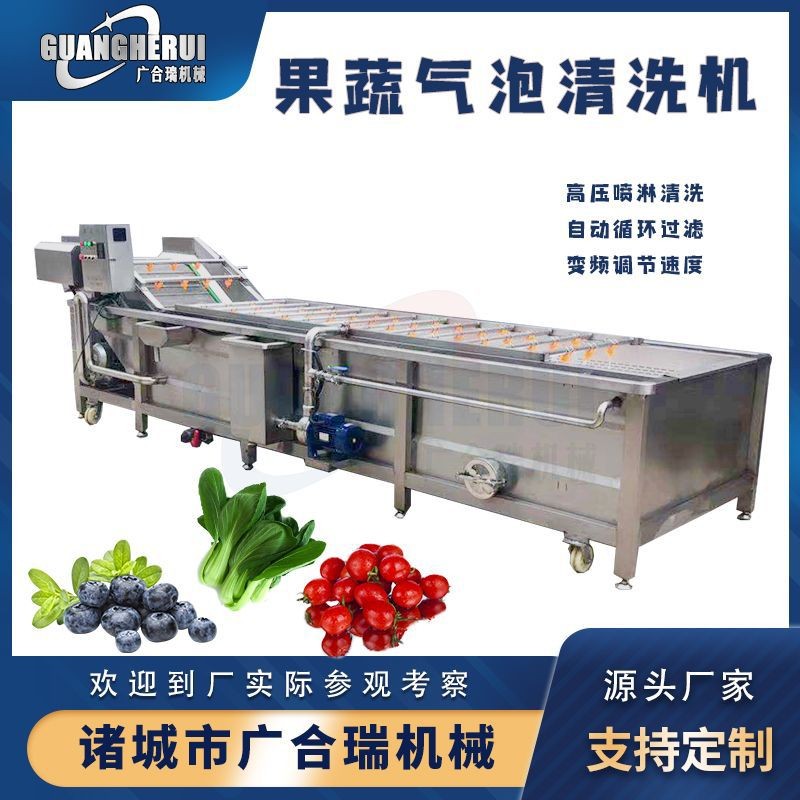 果蔬氣泡清洗機 大姜白菜毛豆蔬菜高壓噴淋清洗設備 全自動洗菜機