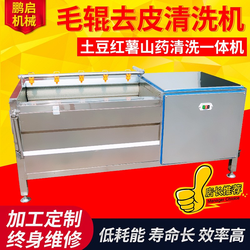 小型毛刷清洗機 紅薯土豆清洗去皮機 不銹鋼海鮮清洗去泥機