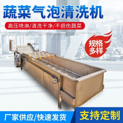 蔬菜氣泡清洗機 噴淋式果蔬清洗機設備 大姜竹筍全自動氣泡清洗機