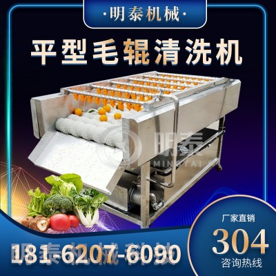 多功能毛輥清洗機小型土豆生蠔蓮藕去泥土清洗設備商用生姜去皮機