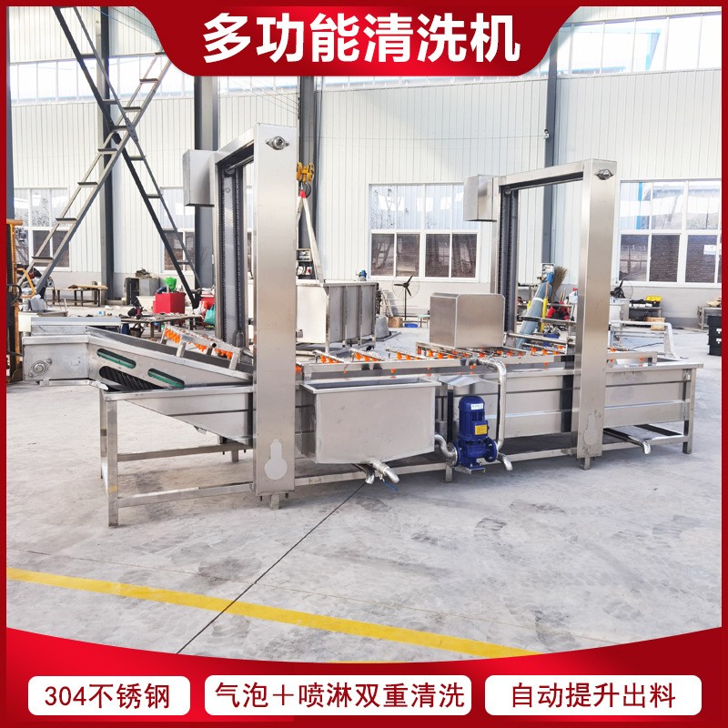 玫瑰花氣泡清洗機 桃子去毛去雜噴淋清洗機 四川菊花鼓泡清洗設備