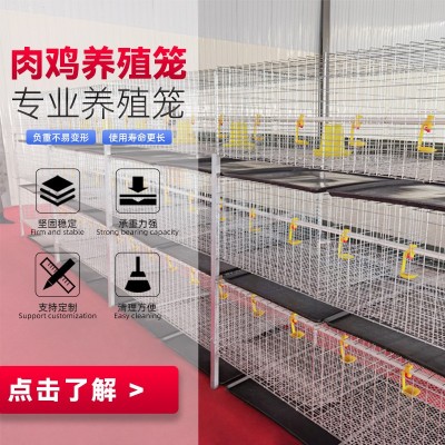 三層兩門立體式肉雞籠鋼絲網(wǎng)養(yǎng)殖設備雞籠子配件H型層疊式肉雞籠