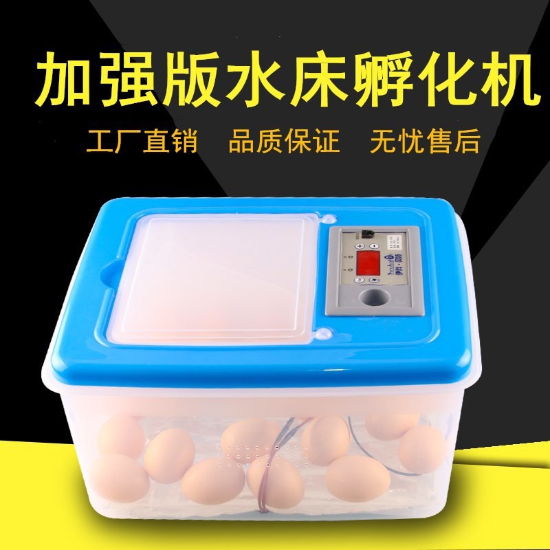 伊科貝特水床孵化機(jī)升級版 32枚PP料家用小型孵化器雞鴨鵝孵化箱