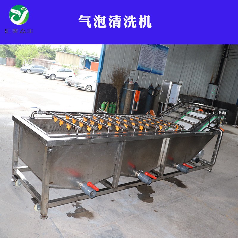 不銹鋼高壓噴淋自動輸送梅干菜酸菜無損氣泡清洗機(jī)多功能清洗機(jī)