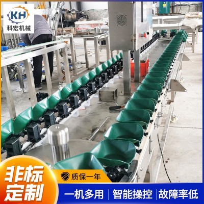 山東廠家科宏 水果分選機(jī)料盒款 柑橘番石榴桃子自動(dòng)稱重選果機(jī)
