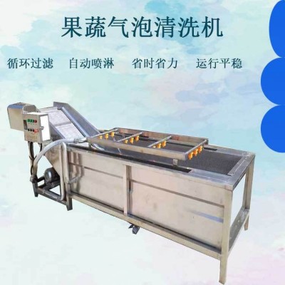 全自動(dòng)果蔬清洗機(jī) 噴淋式蘋果氣泡清洗流水線 白菜西紅柿清洗機(jī)設(shè)