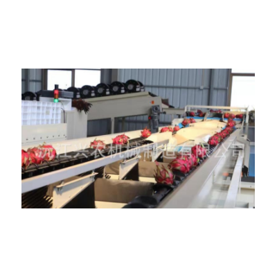 智能水果分選橙橘分選機