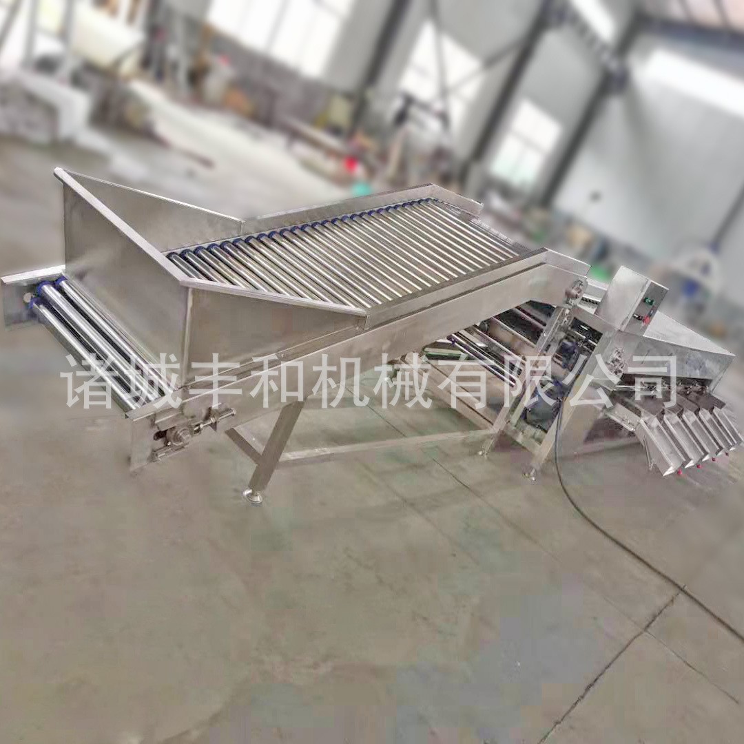 果蔬選果機廠家 金桔青橘分級機 百香果分級機 石榴荔枝分級機