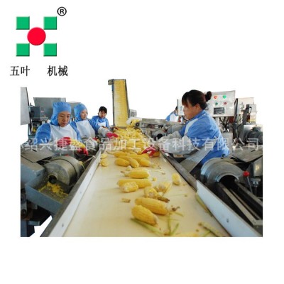 玉米粒加工生產(chǎn)線 鮮玉米扒皮脫粒漂燙速凍線 玉米粒流態(tài)速凍機(jī)g