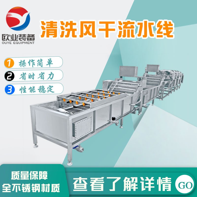 諸城大型全自動洗姜機 多功能氣泡清洗機 終生售后 大姜清洗機