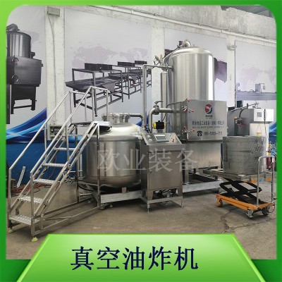 油炸果蔬脆片機器 低溫真空油炸機 小型 大型都可定做 廠家直供