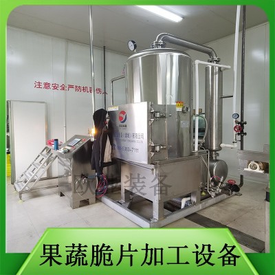 新型休閑食品加工設備 農村致富創業項目 蔬菜干脫水果蔬脆片加工