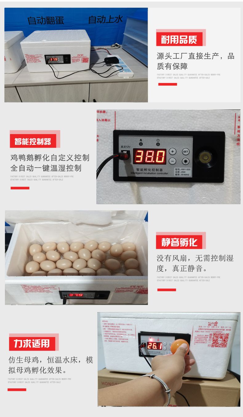 水床優勢.jpg