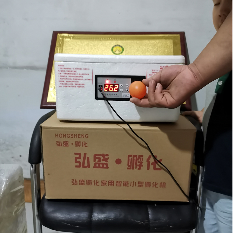 水床孵化機1.jpg