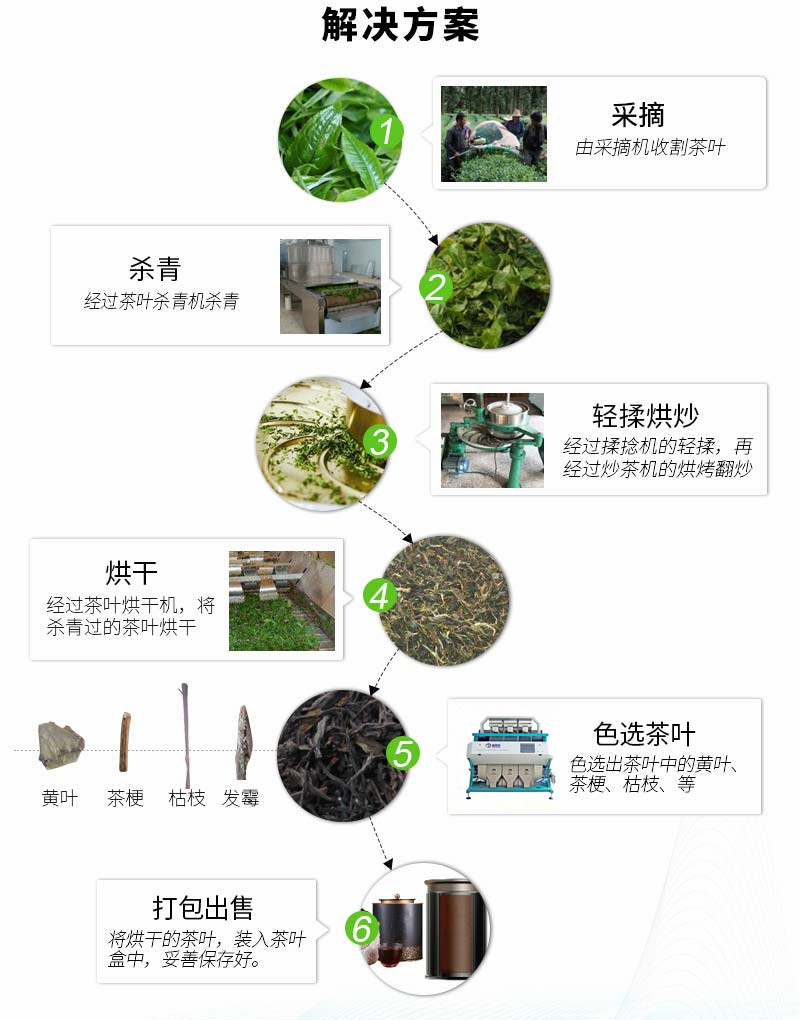 茶葉ZLX2
