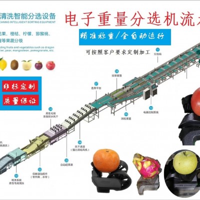 電子智能稱(chēng)重芒果分選機(jī)芒果分級(jí)機(jī)分揀機(jī)克重分選機(jī)