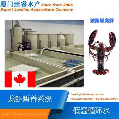 加拿大工廠化室內(nèi)循環(huán)水龍蝦低溫暫養(yǎng)項(xiàng)目循環(huán)水產(chǎn)養(yǎng)殖水處理設(shè)備