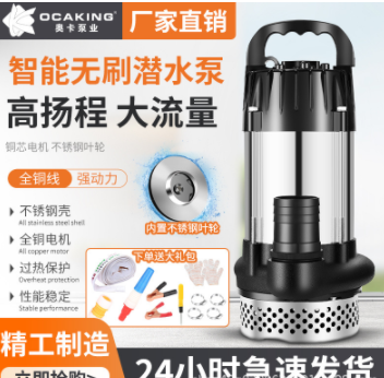 無刷直流潛水泵高揚(yáng)程48V60V72V伏通用電動車電瓶車抽水泵抽水機(jī)