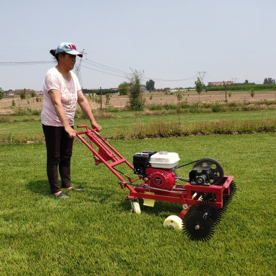 園林草坪切邊機草坪基地專用草皮切塊劃線機草場鏟草皮用切割機