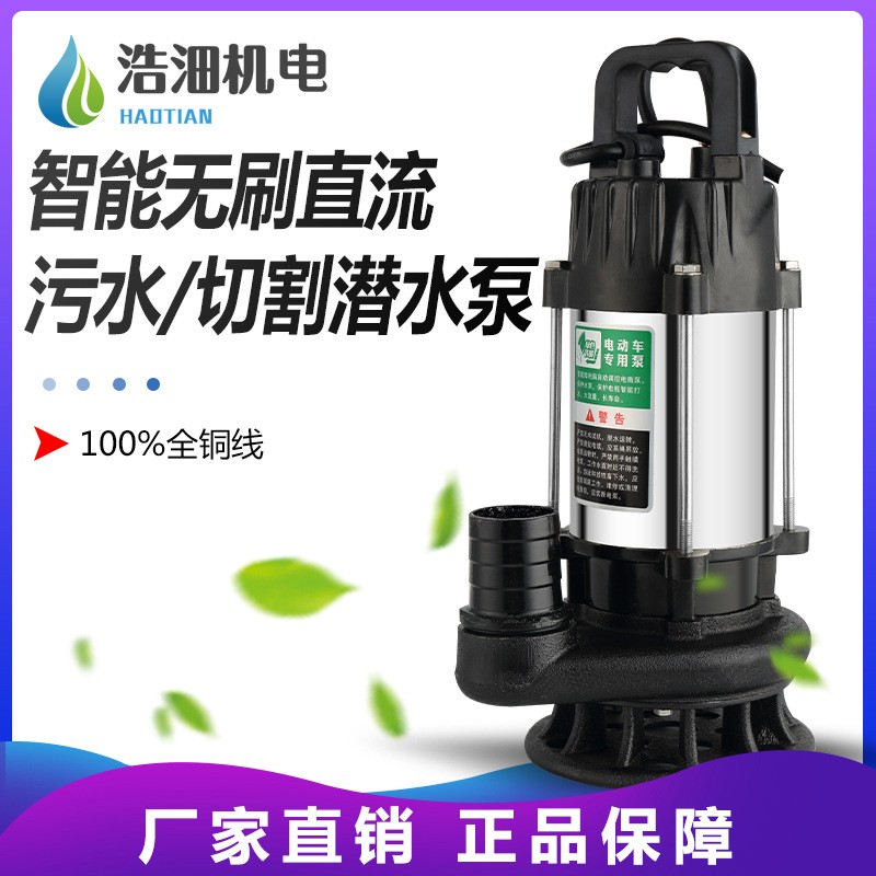 浩沺廠家直銷化糞沼氣池排污泵1寸1.5寸48-72v高揚程潛水泵污水泵