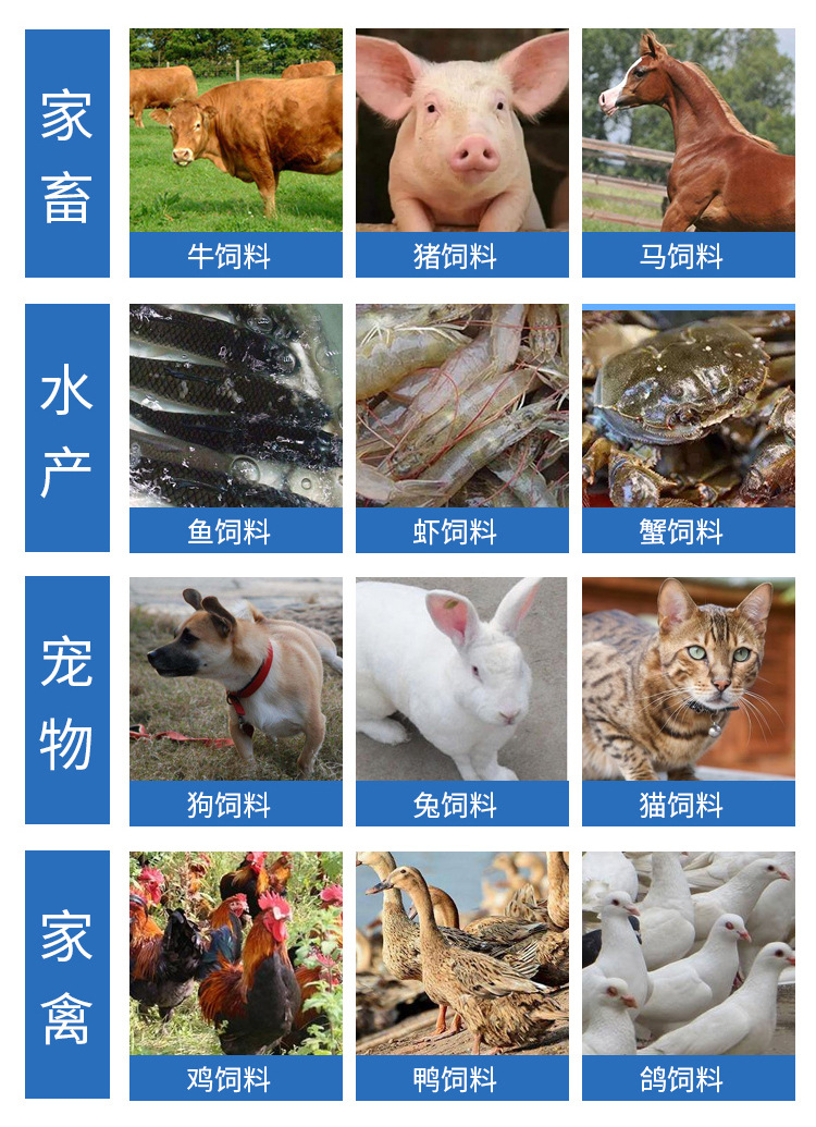 O1CN01POqvNp1enZcFK3sHx_!!3368