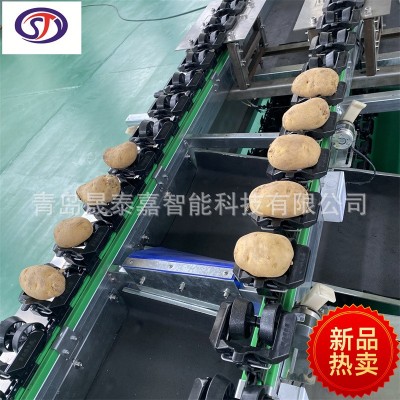 雪梨分選機(jī) 蘋(píng)果檢測(cè)外觀瑕疵選果機(jī) 土豆內(nèi)部檢測(cè)空心霉心系統(tǒng)