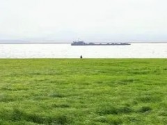 草坪播種機械有哪些類型？