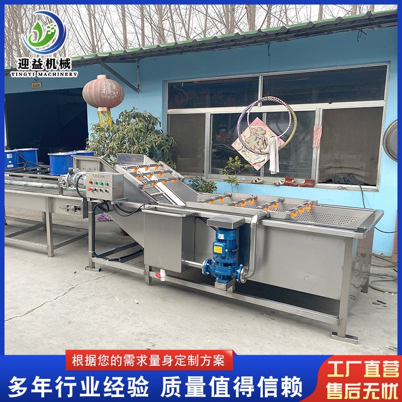 山野菜去農(nóng)殘氣泡清洗機(jī) 多功能果蔬清洗機(jī) 商用不銹鋼噴淋清洗機(jī)
