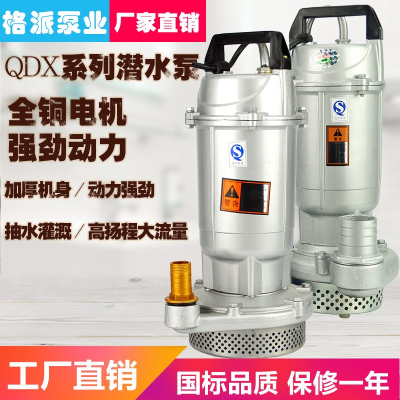 家用單相潛水泵220V高揚程抽水泵大流量小型水泵農用灌溉井水澆地