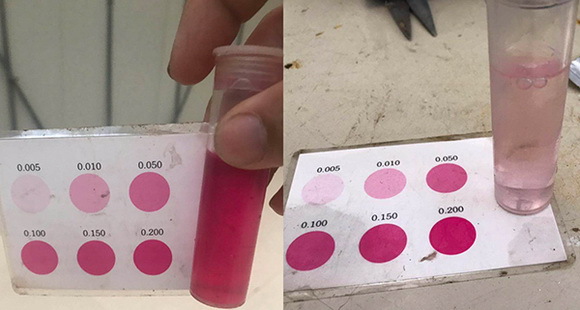 16藍靈的純氧溶氧器為何“難產”？1