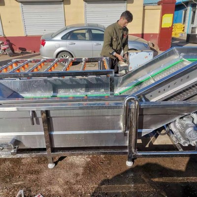 果蔬清洗機高壓水果蔬菜清洗機 冬棗辣椒高壓氣泡清洗機 洗菜機