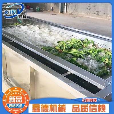 全自動果蔬清洗機 豆角氣泡清洗機 包菜茄子噴淋清洗成套設備